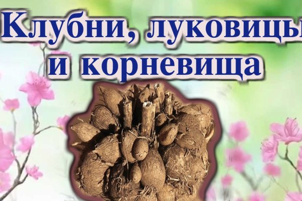 При входе на кракен пишет вы забанены