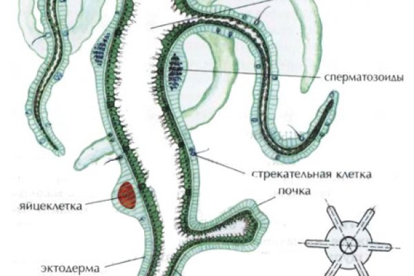 Кракен как войти