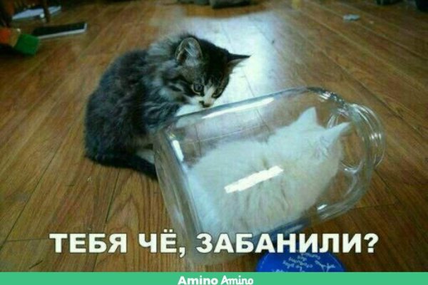Кракен ссылка прокатис