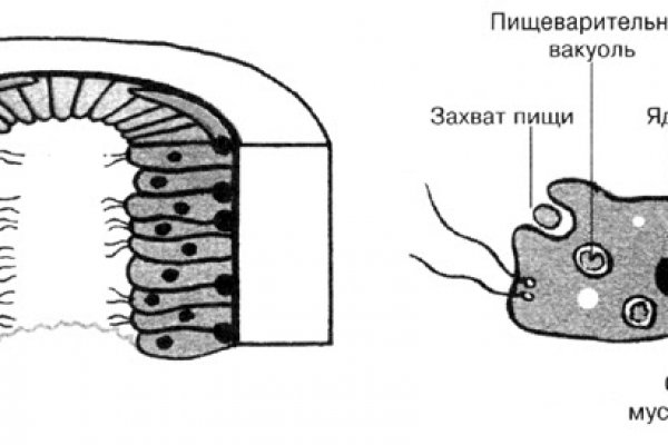 Кракен даркет