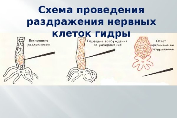 Кракен актуальная ссылка тор